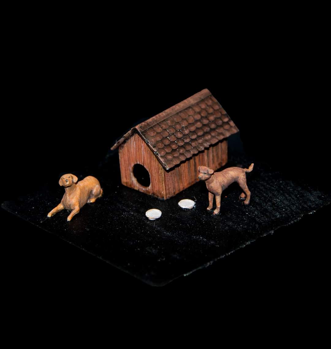 Dogs with House