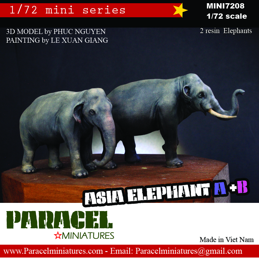 Asian Elephant - couple
