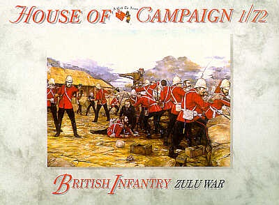 British Infantry ZW