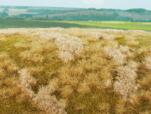 Meadow unkept - autumn (18x28 cm)