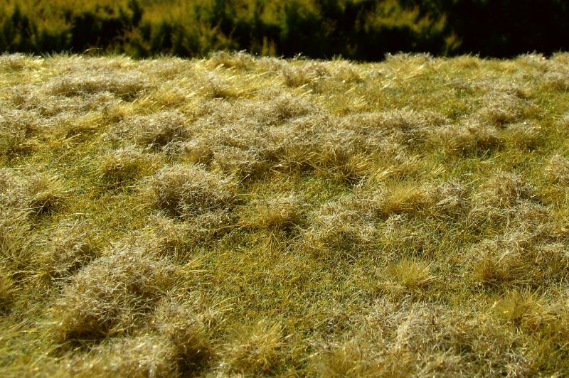 Fallow field - late summer (18x28cm)