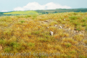 Mountain meadow with small stones - late summer (18x28cm) - Click Image to Close