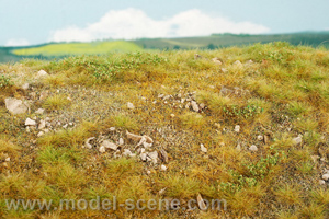 Mountain meadow with medium stones - late summer (18x28cm) - Click Image to Close
