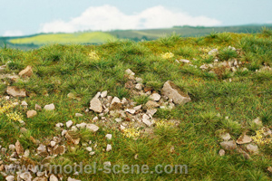 Mountain meadow with large stones - early summer (18x28cm) - Click Image to Close