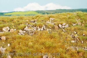 Mountain meadow with large stones - late summer (18x28cm) - Click Image to Close