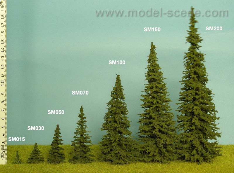 Spruce (90-110mm) - Click Image to Close
