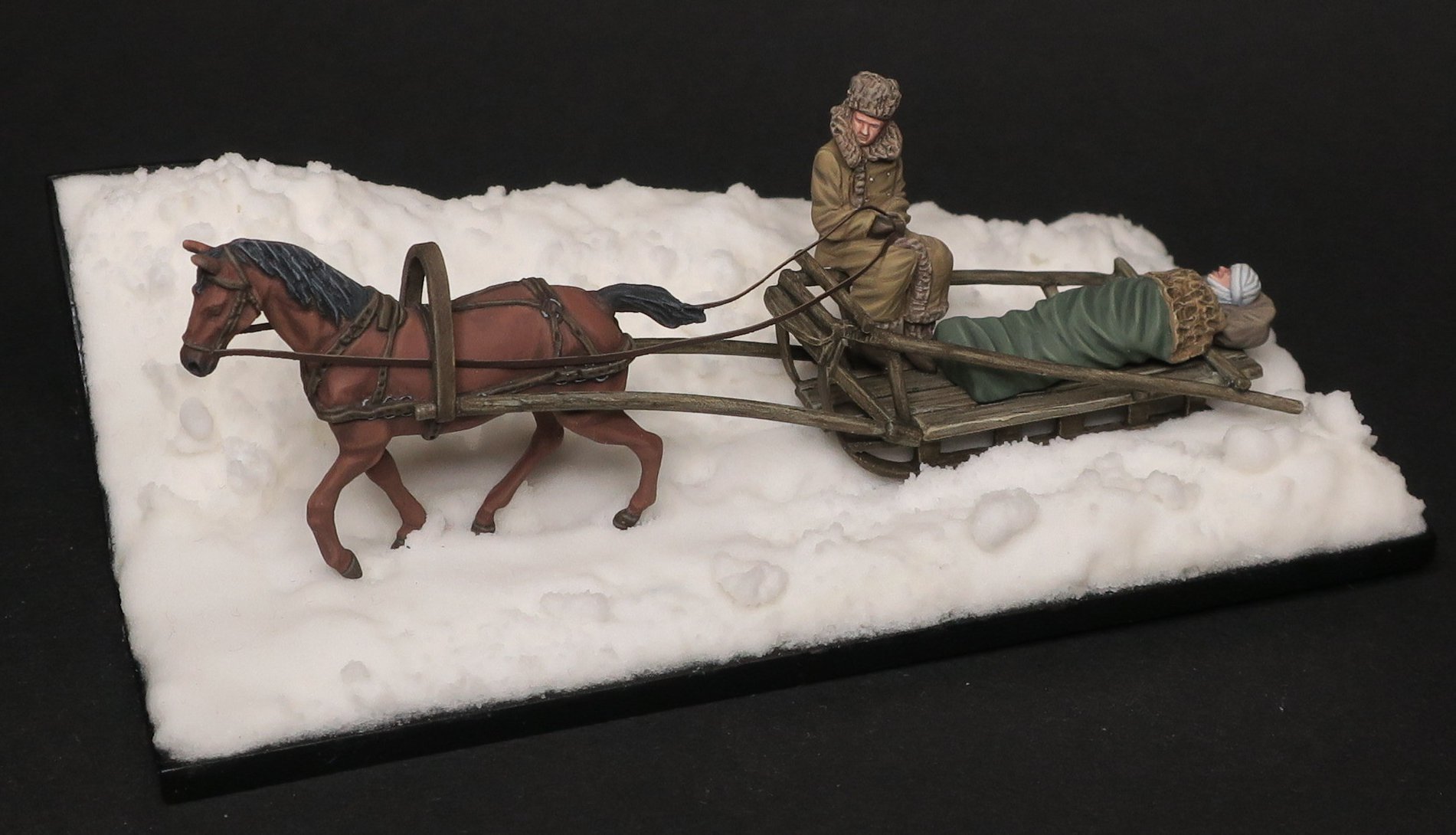 German sledge with horse, driver and wounded