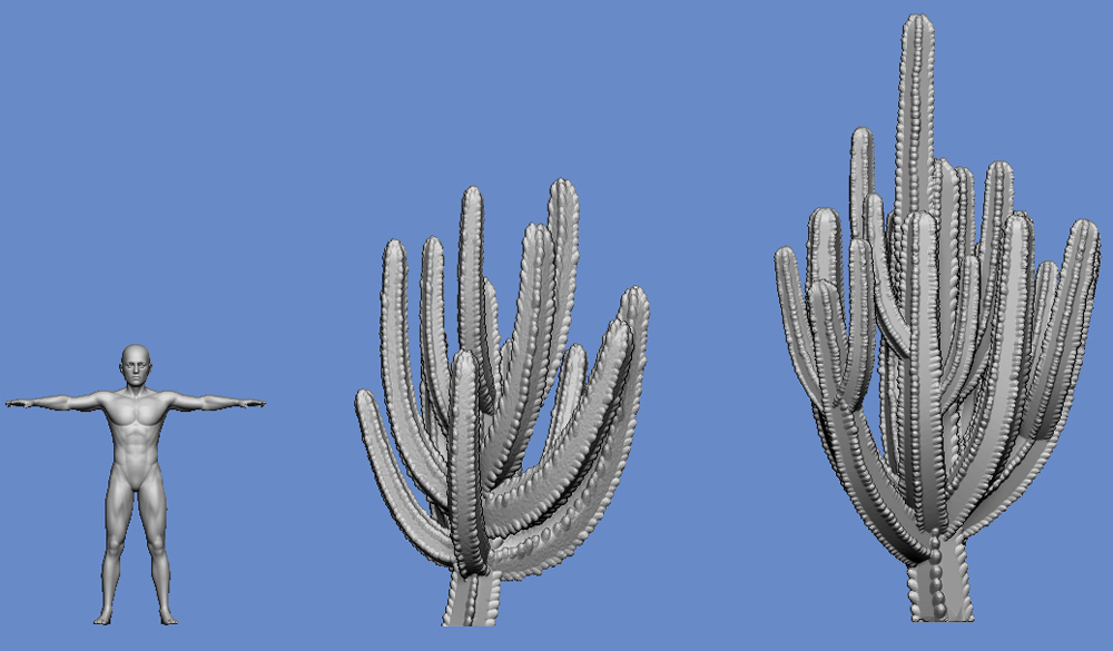 Cactus - type 3 - Click Image to Close