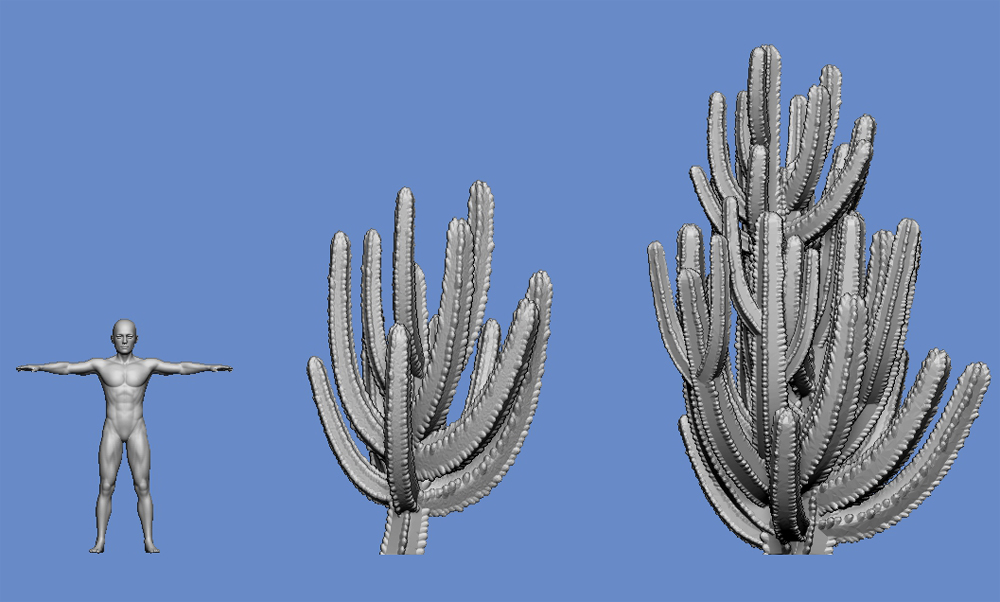 Cactus - type 4 - Click Image to Close