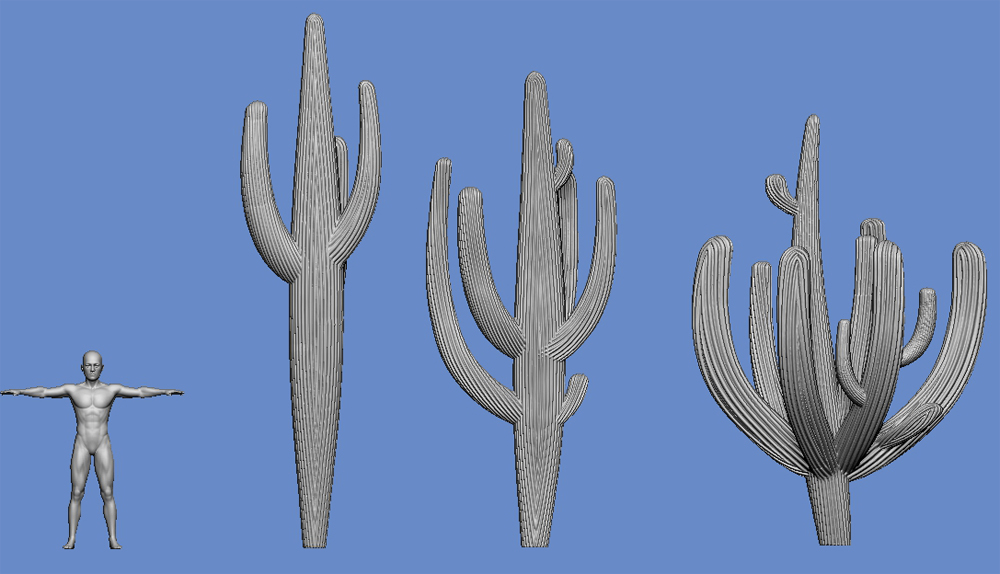Cactus - type 5 - Click Image to Close