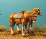Heavy Draft Horses - standing