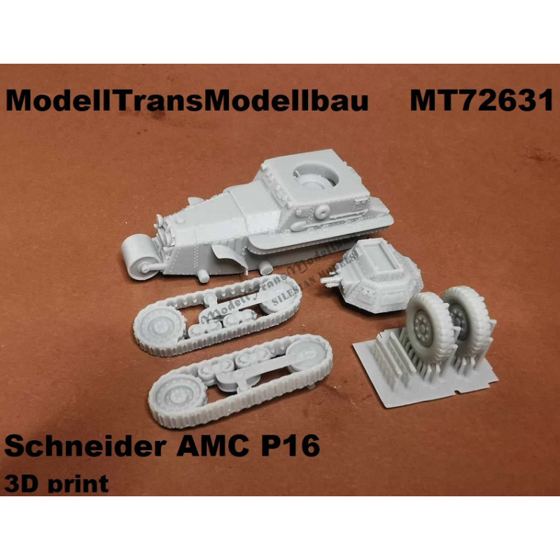 AMC Schneider P 16